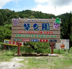 下地を生かし、表現力を全面に！